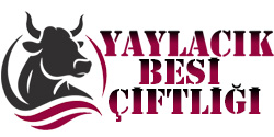 YAYLACIK BESİ ÇİFTLİĞİ &KURBAN KESİM MERKEZİ DANA HİSSE SATİŞ NOKTASI