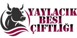 YAYLACIK BESİ ÇİFTLİĞİ &KURBAN KESİM MERKEZİ DANA HİSSE SATİŞ NOKTASI